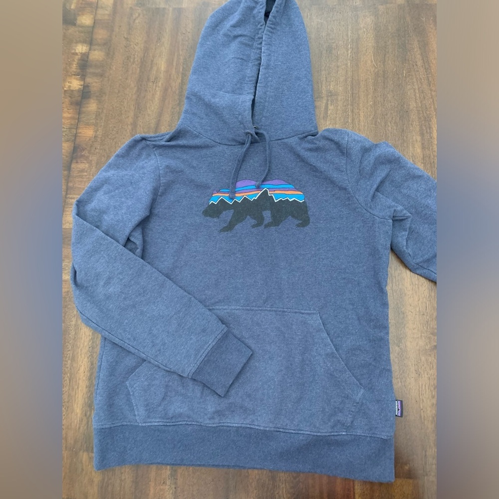 Patagonia Sweatshirt Fitz Roy Bear Uprisal Hoodie Men’s Medium Blue Mountains